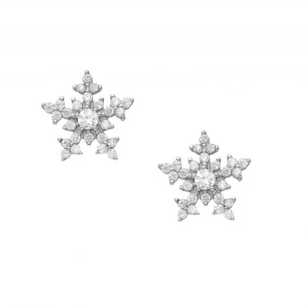 Snowflake Earrings in 925 Silver