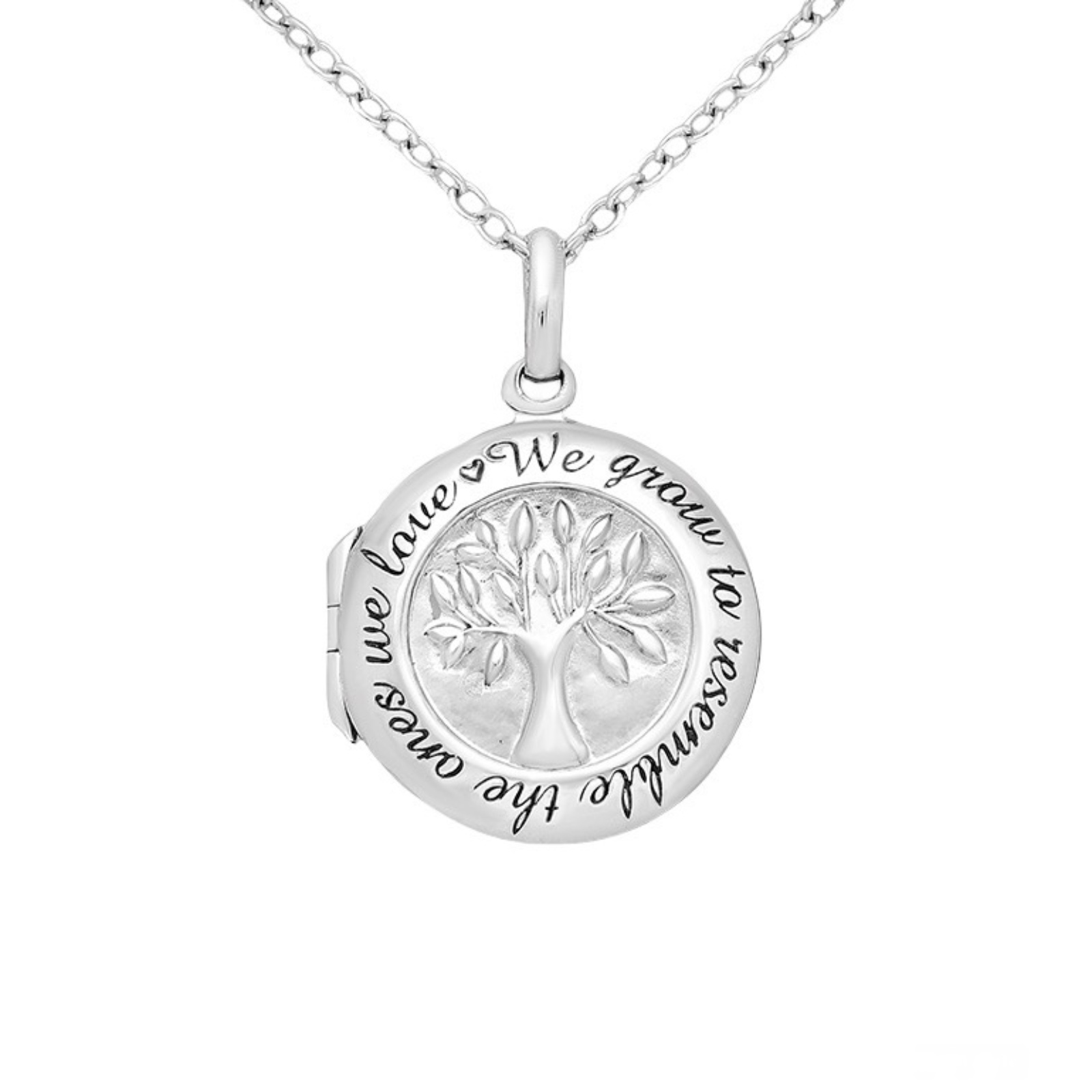 silver pendant with opening photo