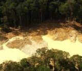 The ecological impact of gold and silver mining